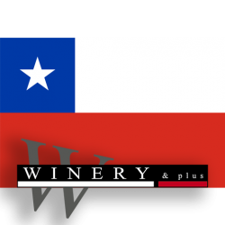Chile Vino Blanco