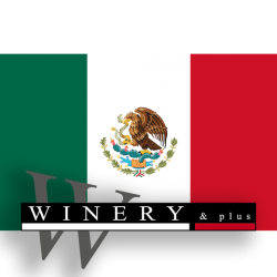 Mexico Vino Blanco